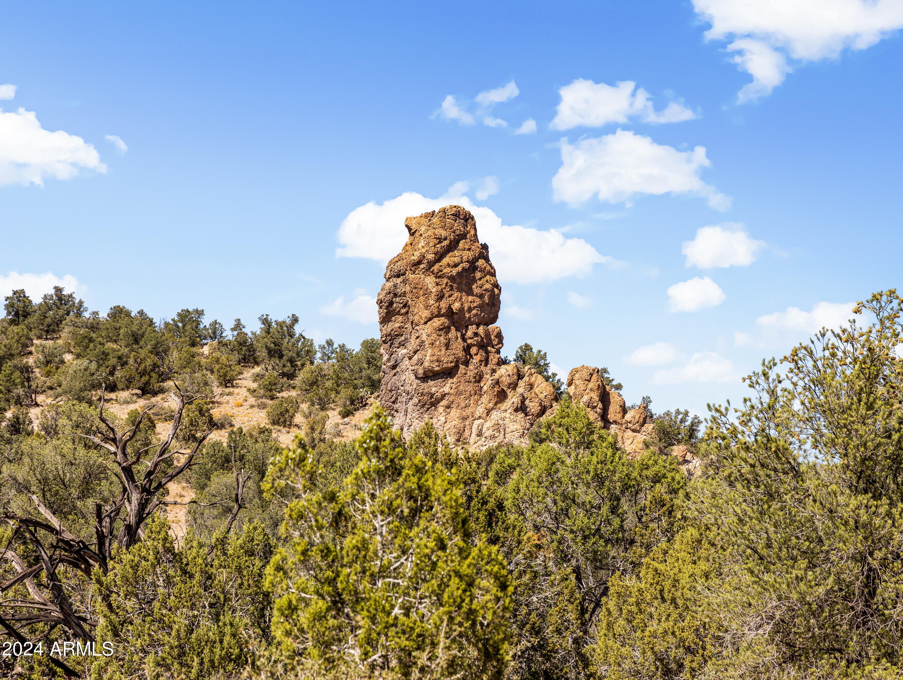 4820 East Perkinsville Road Chino Valley, AZ 86323 - Photo 114 of 128 a view of a bunch of trees