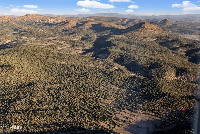 a view of a patio with table and chairs potted plants