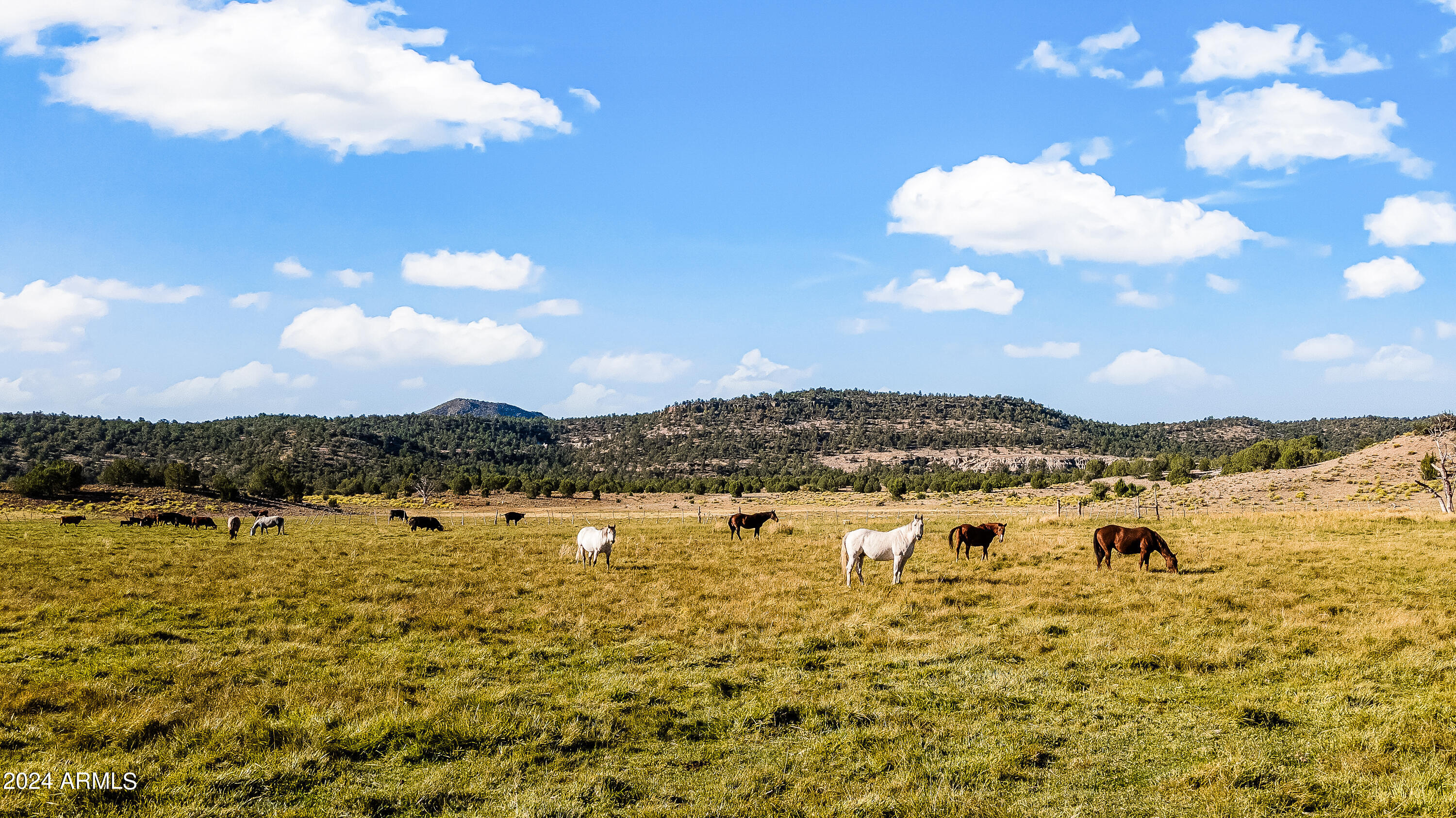 4820 East Perkinsville Road Chino Valley, AZ 86323 - Photo 23 of 128 a view of lake with mountain