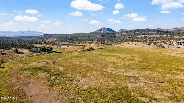 a kitchen with a stove top oven and refrigerator