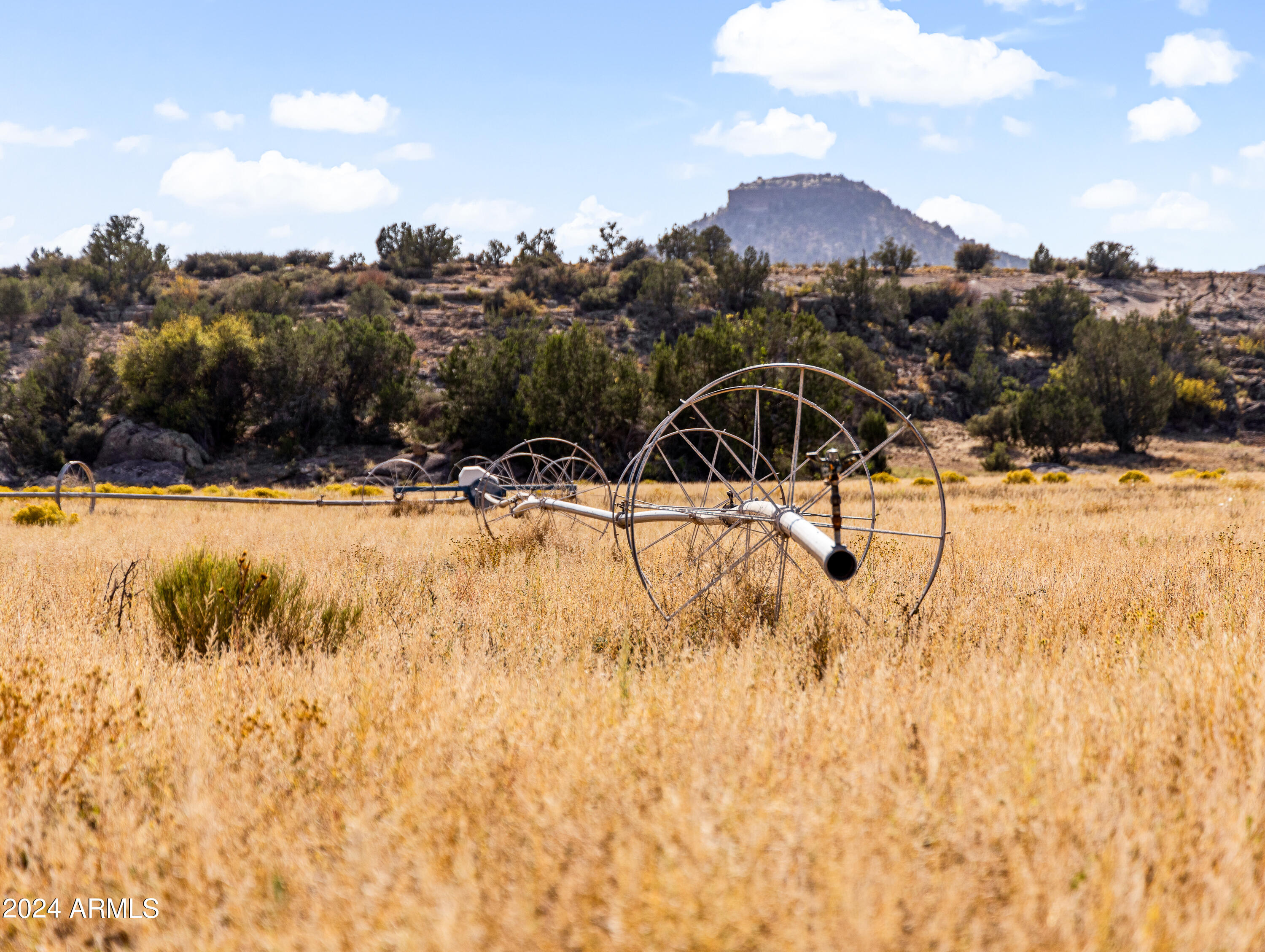 4820 East Perkinsville Road Chino Valley, AZ 86323 - Photo 5 of 128 a view of swimming pool with a yard