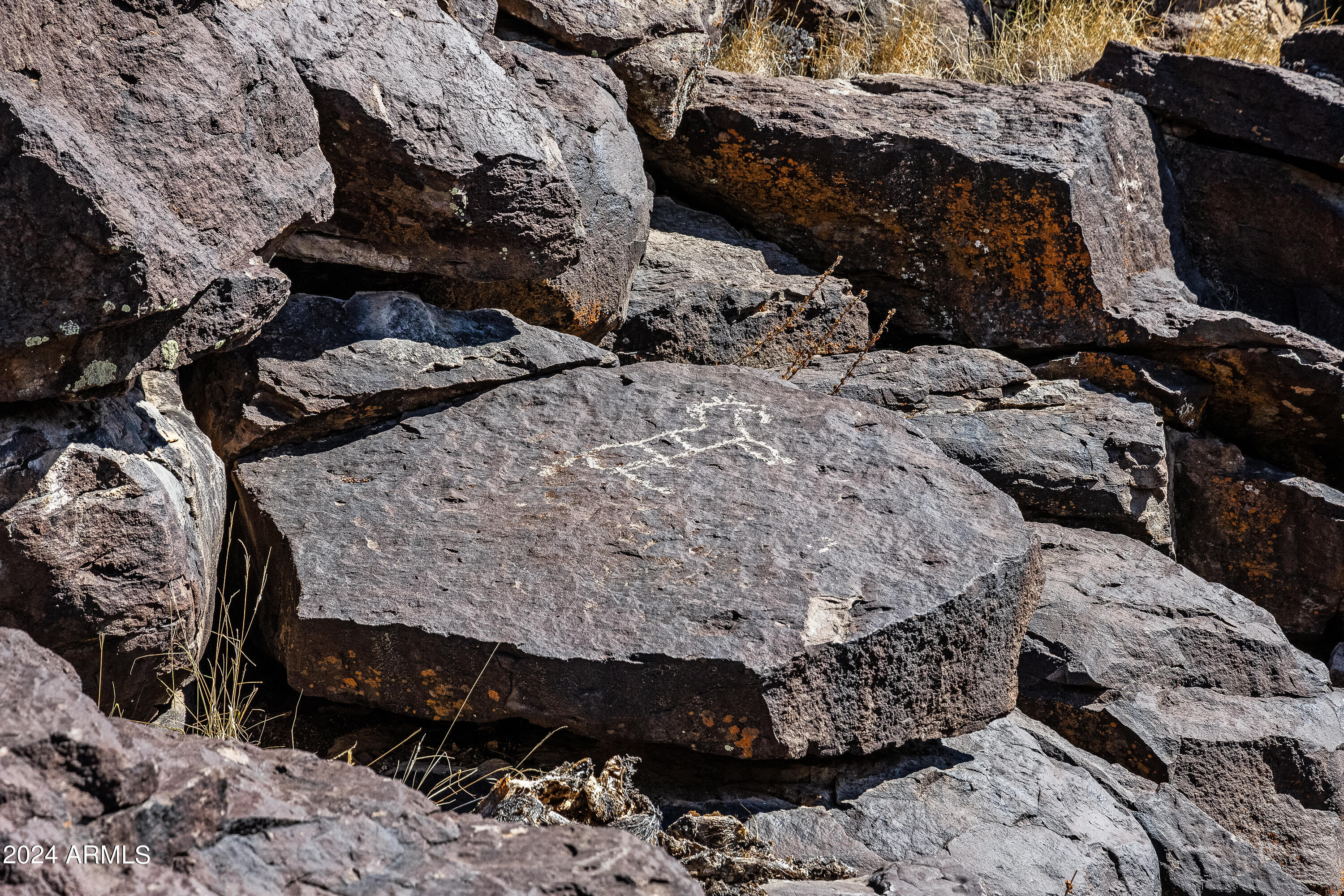 4820 East Perkinsville Road Chino Valley, AZ 86323 - Photo 92 of 128 Day 3-78