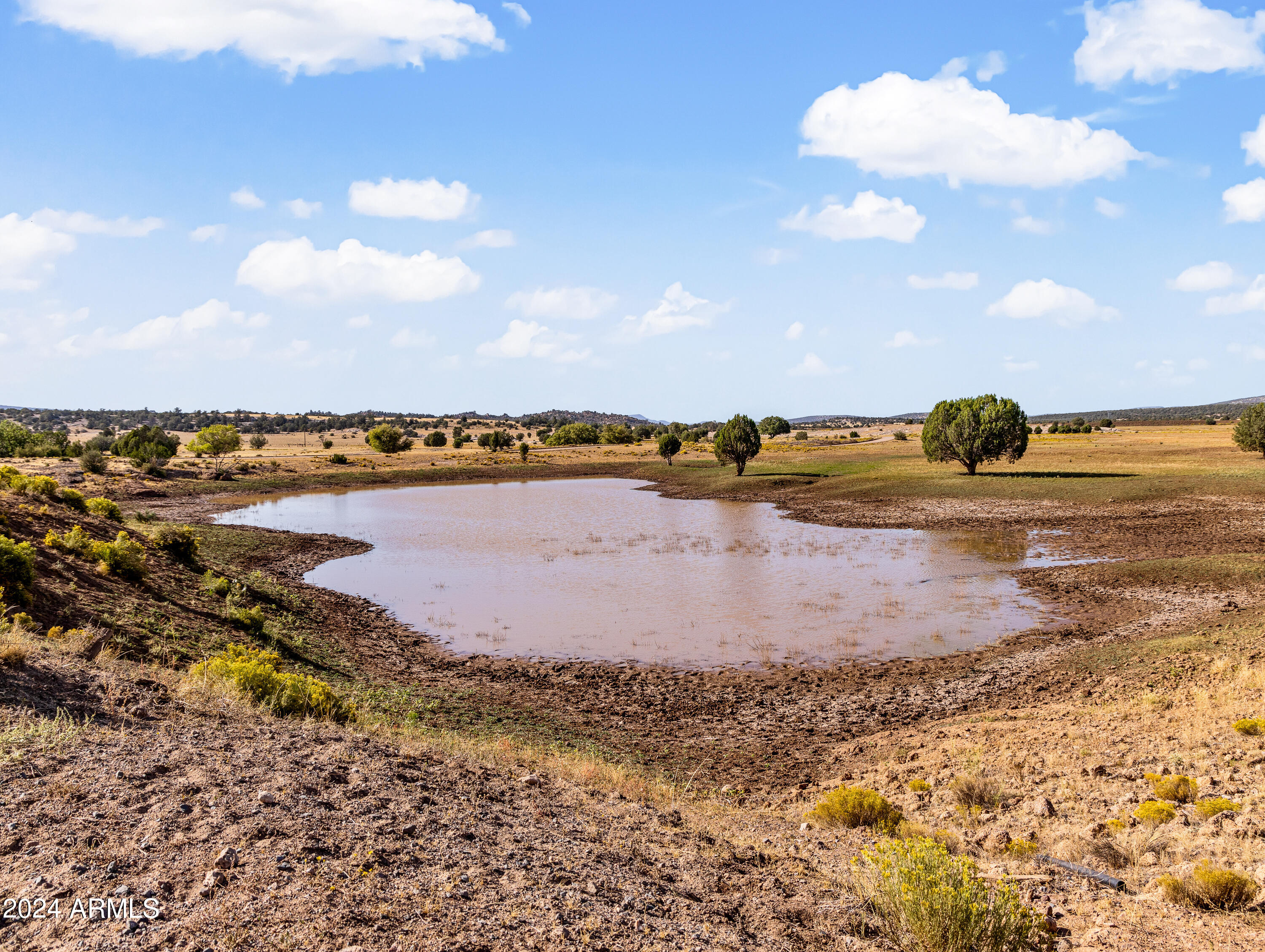 4820 East Perkinsville Road Chino Valley, AZ 86323 - Photo 95 of 128 Day 2-88