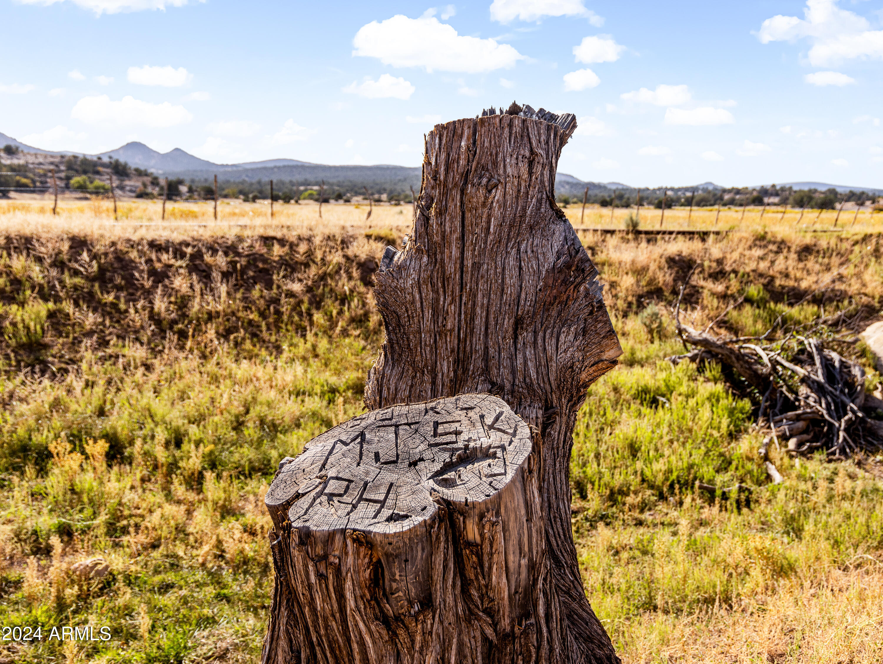 4820 East Perkinsville Road Chino Valley, AZ 86323 - Photo 97 of 128 Day 2-86