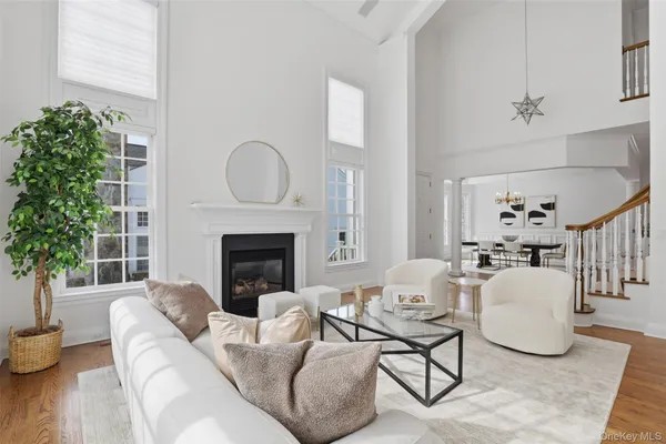 a living room with furniture potted plant and a fireplace