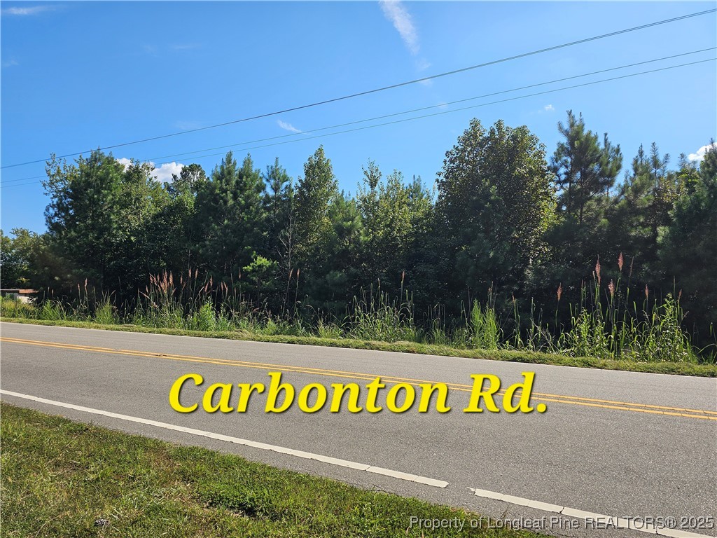 0 Carbonton Road Sanford, NC 27330 - Photo 3 of 12 Gallery Image 3