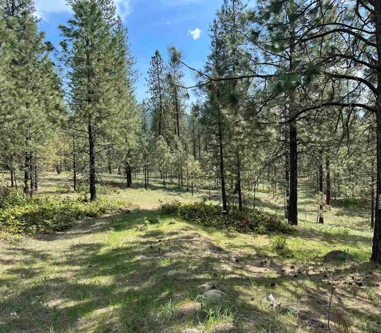 $150,000 | Xxx North Junco Way, Kettle Falls, WA 99141