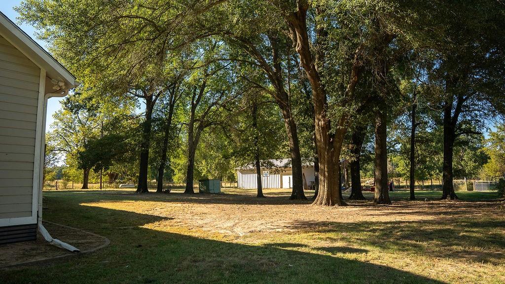 213 County Road 2320 Telephone, TX 75488 - Photo 21 of 40 More hardwood trees create a retreat setting