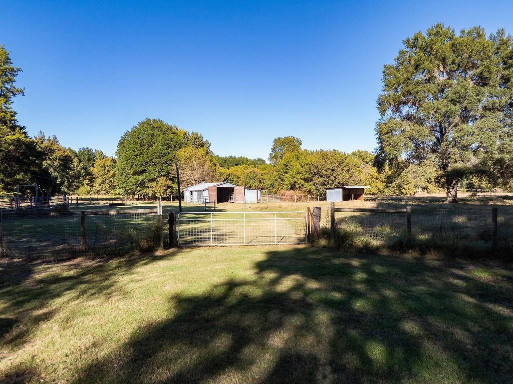 213 County Road 2320 Telephone, TX 75488 - Photo 25 of 40 Behind the house looking out to the barn