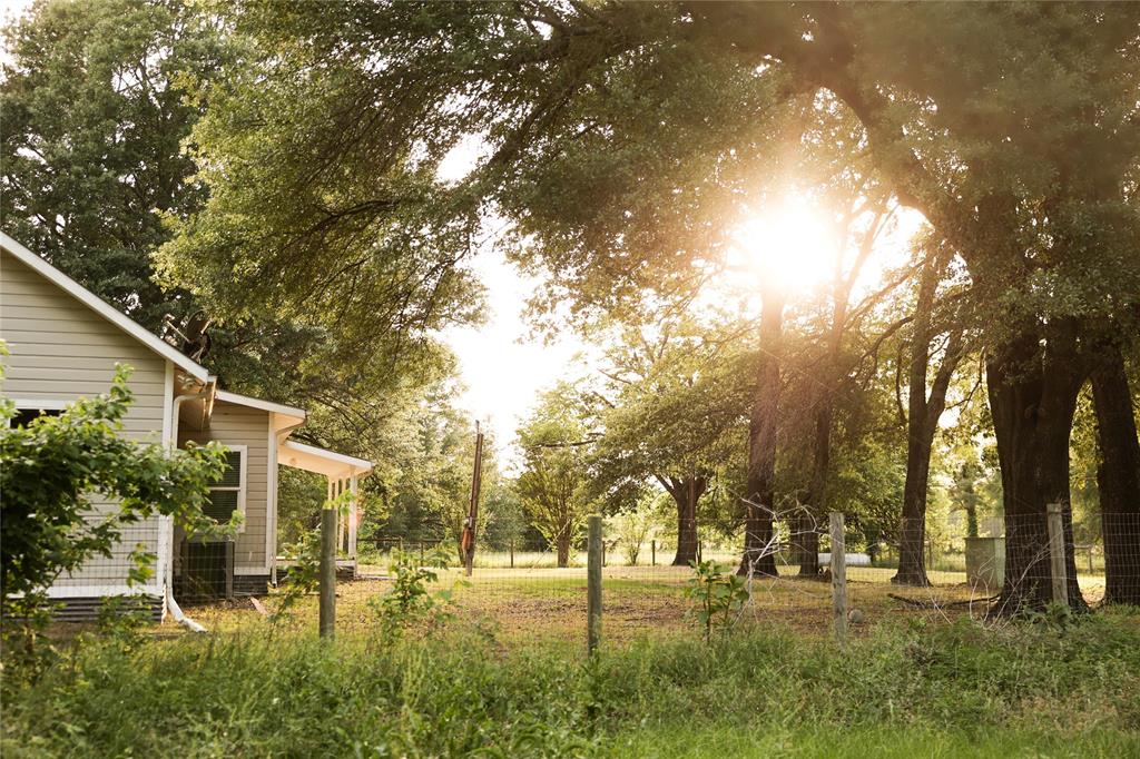 213 County Road 2320 Telephone, TX 75488 - Photo 28 of 40 Backyard is a natural playground
