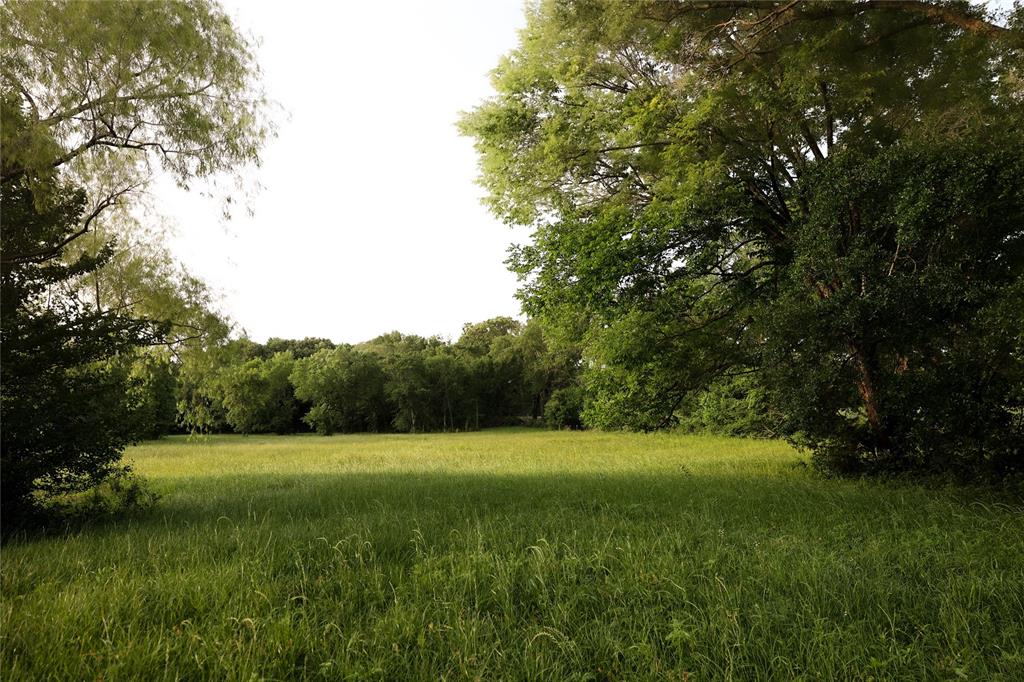 213 County Road 2320 Telephone, TX 75488 - Photo 29 of 40 Back pasture behind the barn