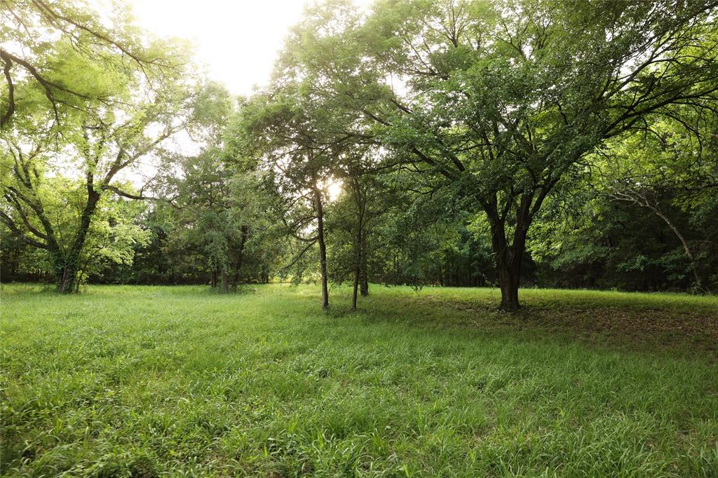 213 County Road 2320 Telephone, TX 75488 - Photo 38 of 40 Beautiful area for a picnic