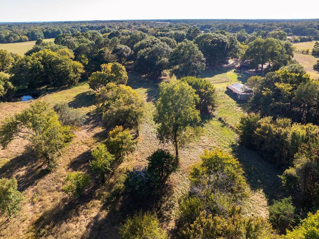213 County Road 2320 Telephone, TX 75488 - Photo 40 of 40 Barn, north pasture and pond
