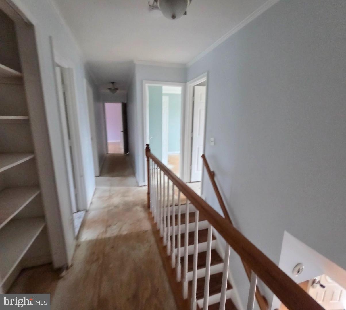 15913 North Thames Court Accokeek, MD 20607 - Photo 13 of 28