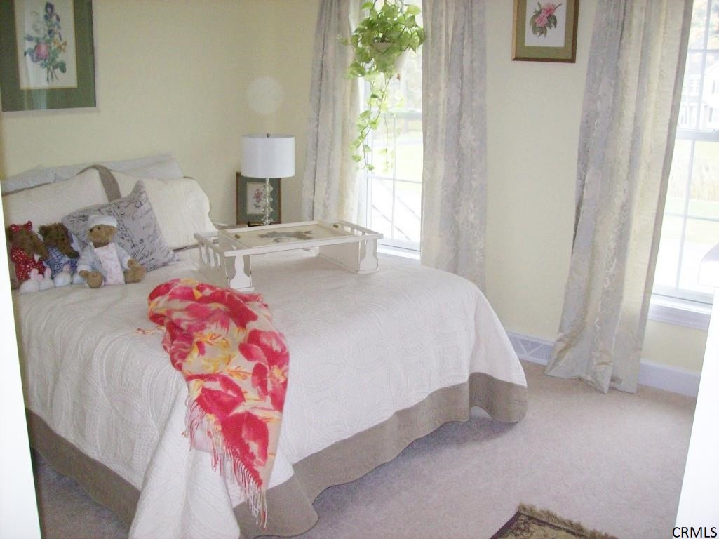 33 Trotter Road Bethlehem, NY 12158 - Photo 13 of 19 Photo 13