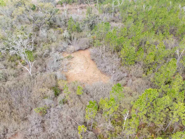 $164,000 | Vacant 40-acres Vacant 40-acres Ellison Frith Road, Perry, FL 32347