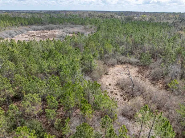 $164,000 | Vacant 40-acres Vacant 40-acres Ellison Frith Road, Perry, FL 32347