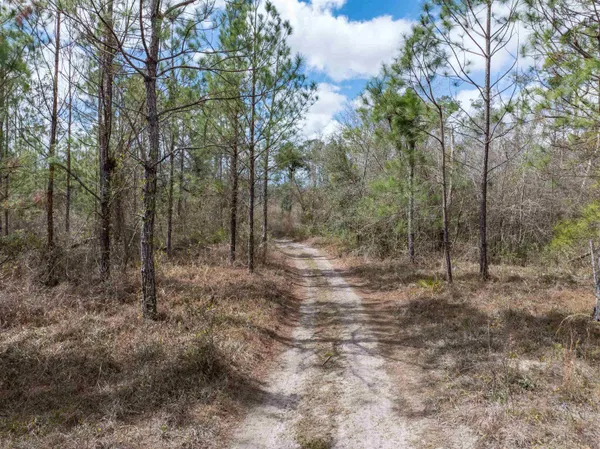 $164,000 | Vacant 40-acres Vacant 40-acres Ellison Frith Road, Perry, FL 32347
