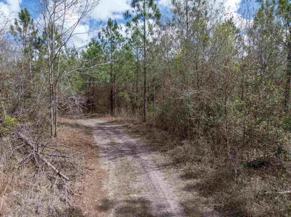 $164,000 | Vacant 40-acres Vacant 40-acres Ellison Frith Road, Perry, FL 32347