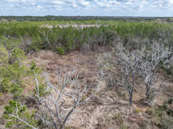 $164,000 | Vacant 40-acres Vacant 40-acres Ellison Frith Road, Perry, FL 32347