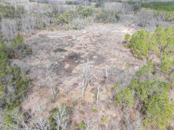 $164,000 | Vacant 40-acres Vacant 40-acres Ellison Frith Road, Perry, FL 32347