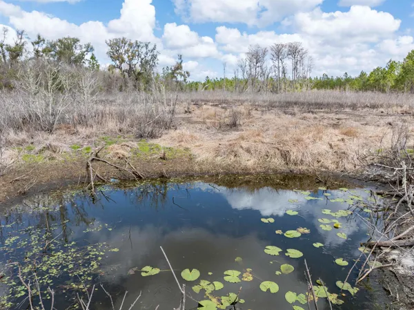 $164,000 | Vacant 40-acres Vacant 40-acres Ellison Frith Road, Perry, FL 32347