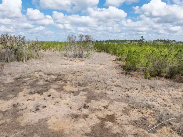 $164,000 | Vacant 40-acres Vacant 40-acres Ellison Frith Road, Perry, FL 32347