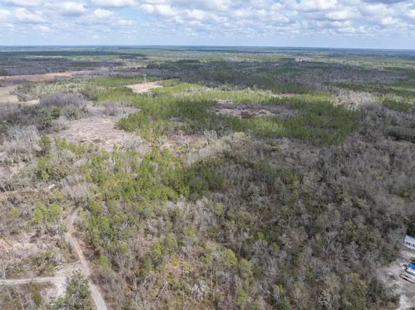 $164,000 | Vacant 40-acres Vacant 40-acres Ellison Frith Road, Perry, FL 32347