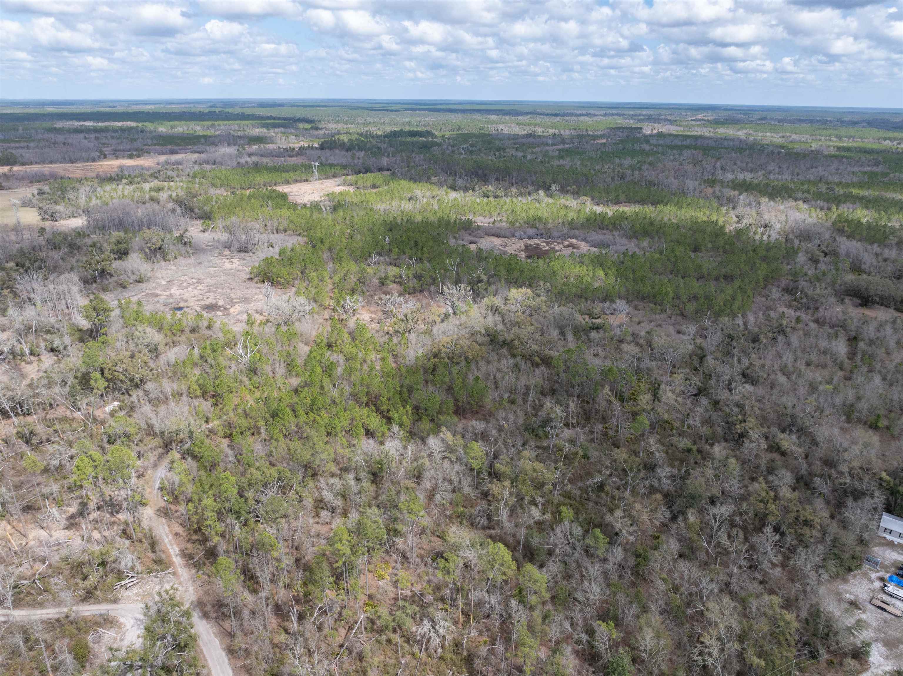Vacant 40-acres Vacant 40-acres Ellison Frith Road Perry, FL 32347 - Photo 21 of 24