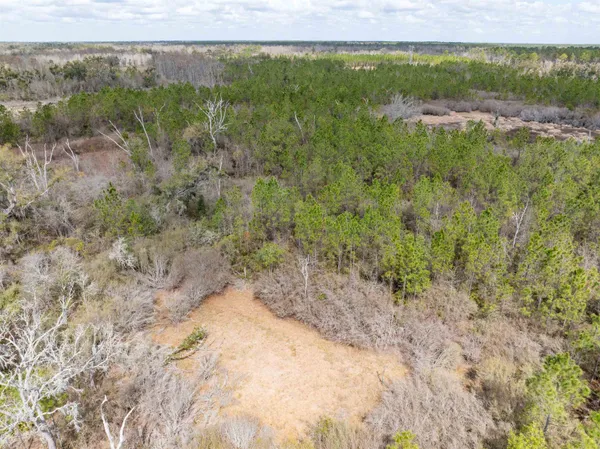$164,000 | Vacant 40-acres Vacant 40-acres Ellison Frith Road, Perry, FL 32347