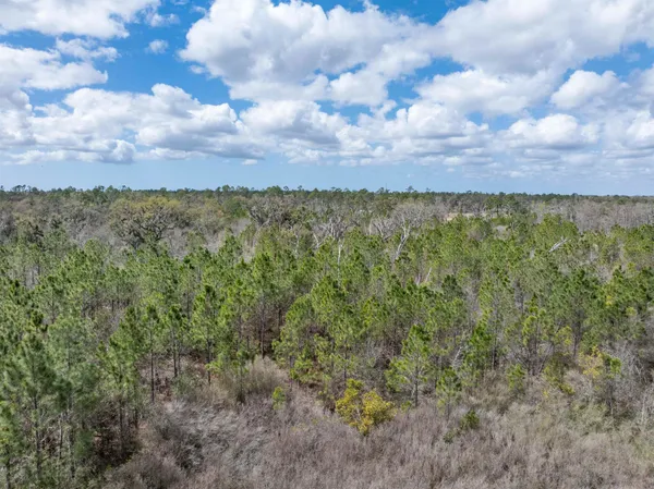 $164,000 | Vacant 40-acres Vacant 40-acres Ellison Frith Road, Perry, FL 32347