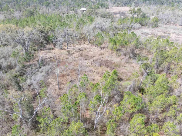 $164,000 | Vacant 40-acres Vacant 40-acres Ellison Frith Road, Perry, FL 32347