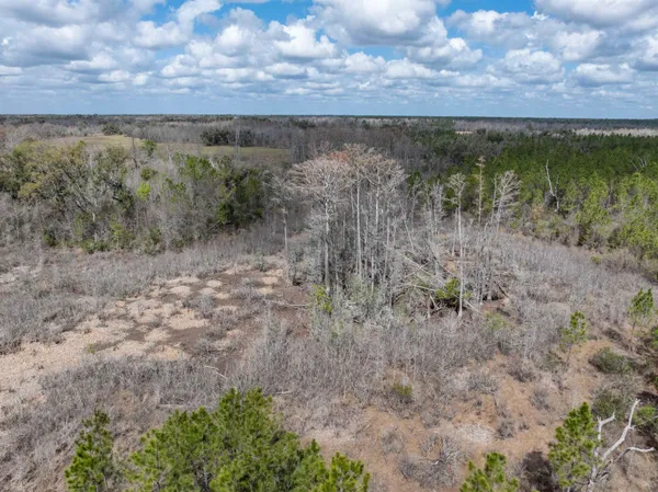 $164,000 | Vacant 40-acres Vacant 40-acres Ellison Frith Road, Perry, FL 32347