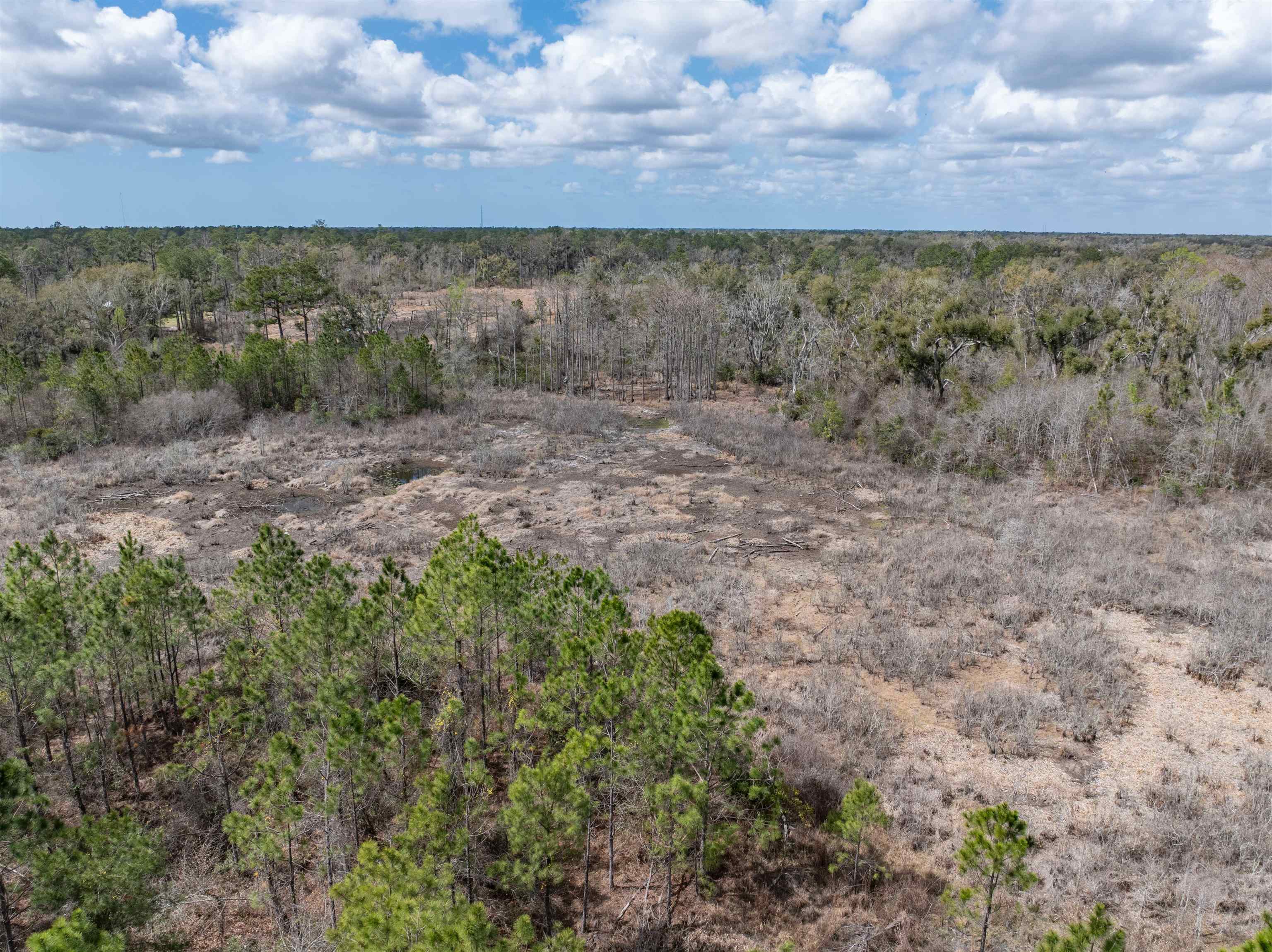 Vacant 40-acres Vacant 40-acres Ellison Frith Road Perry, FL 32347 - Photo 10 of 24