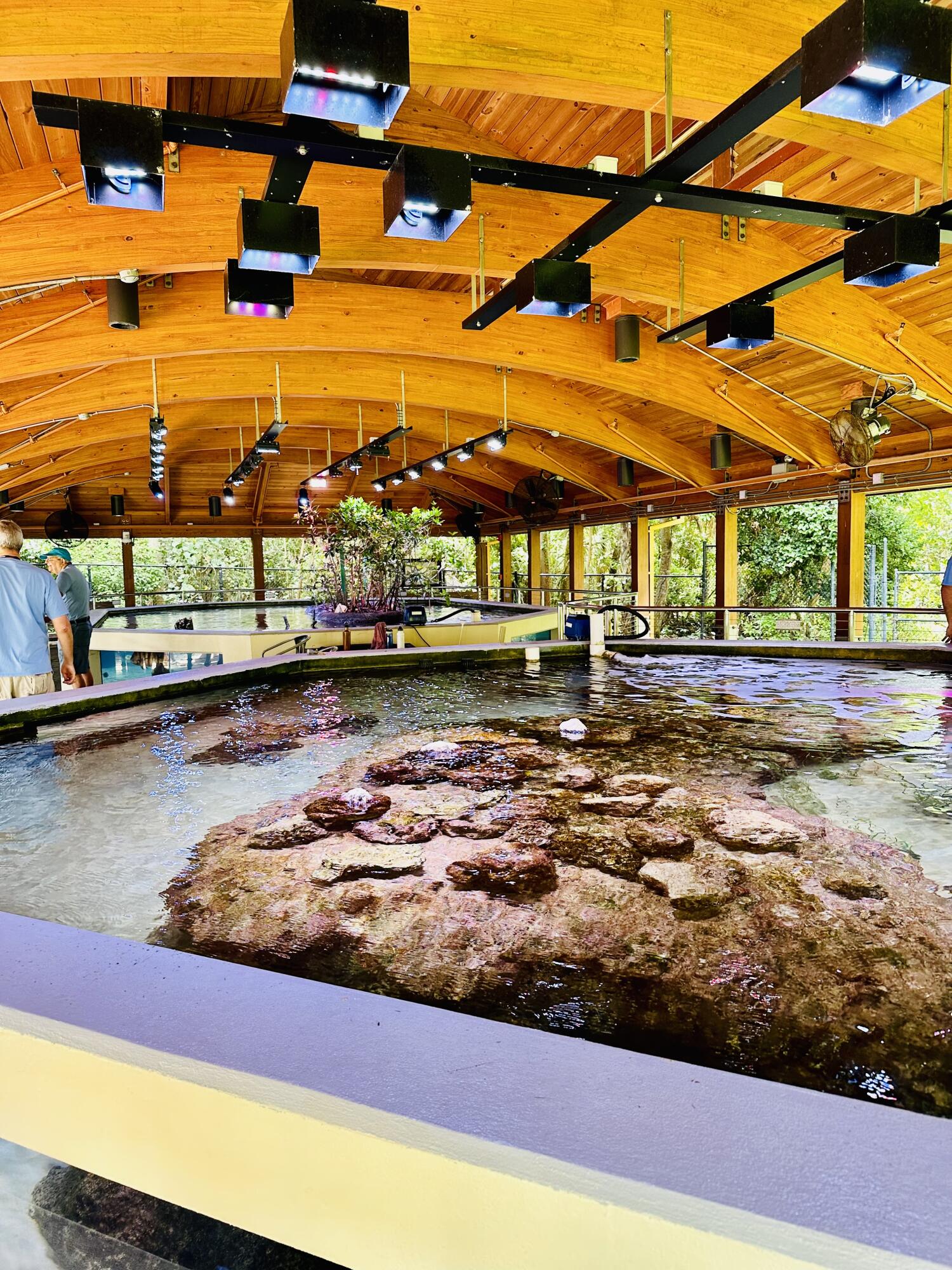 17204 Hampton Boulevard Boca Raton, FL 33496 - Photo 146 of 175 Gumbo Limbo Nature Center