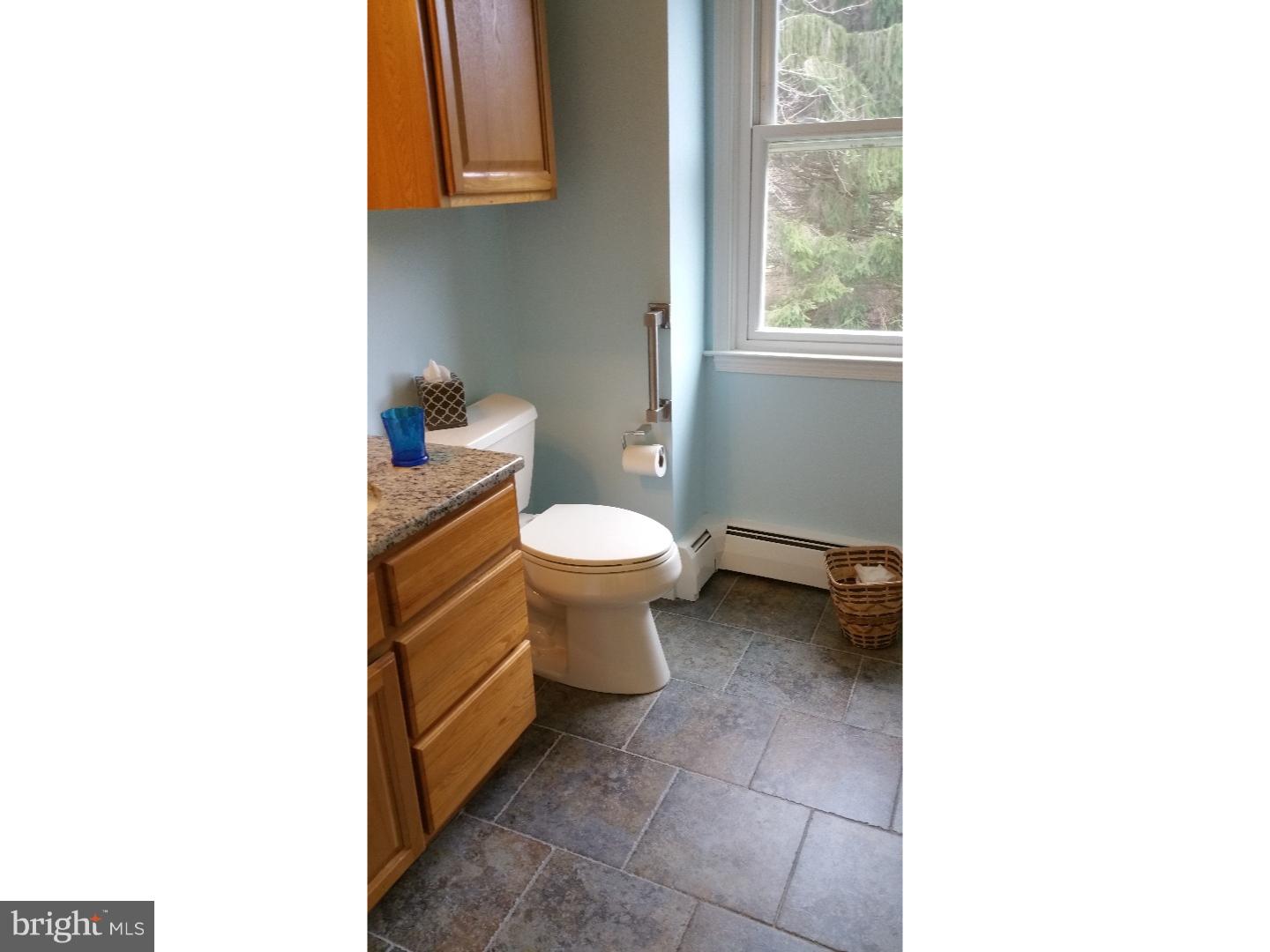 145 Pine Valley Road Doylestown, PA 18901 - Photo 9 of 20 Bathroom
