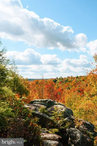 a view of a dry yard