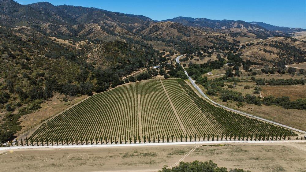 24.5-acres Cienega Road Paicines, CA 95043 - Photo 6 of 38