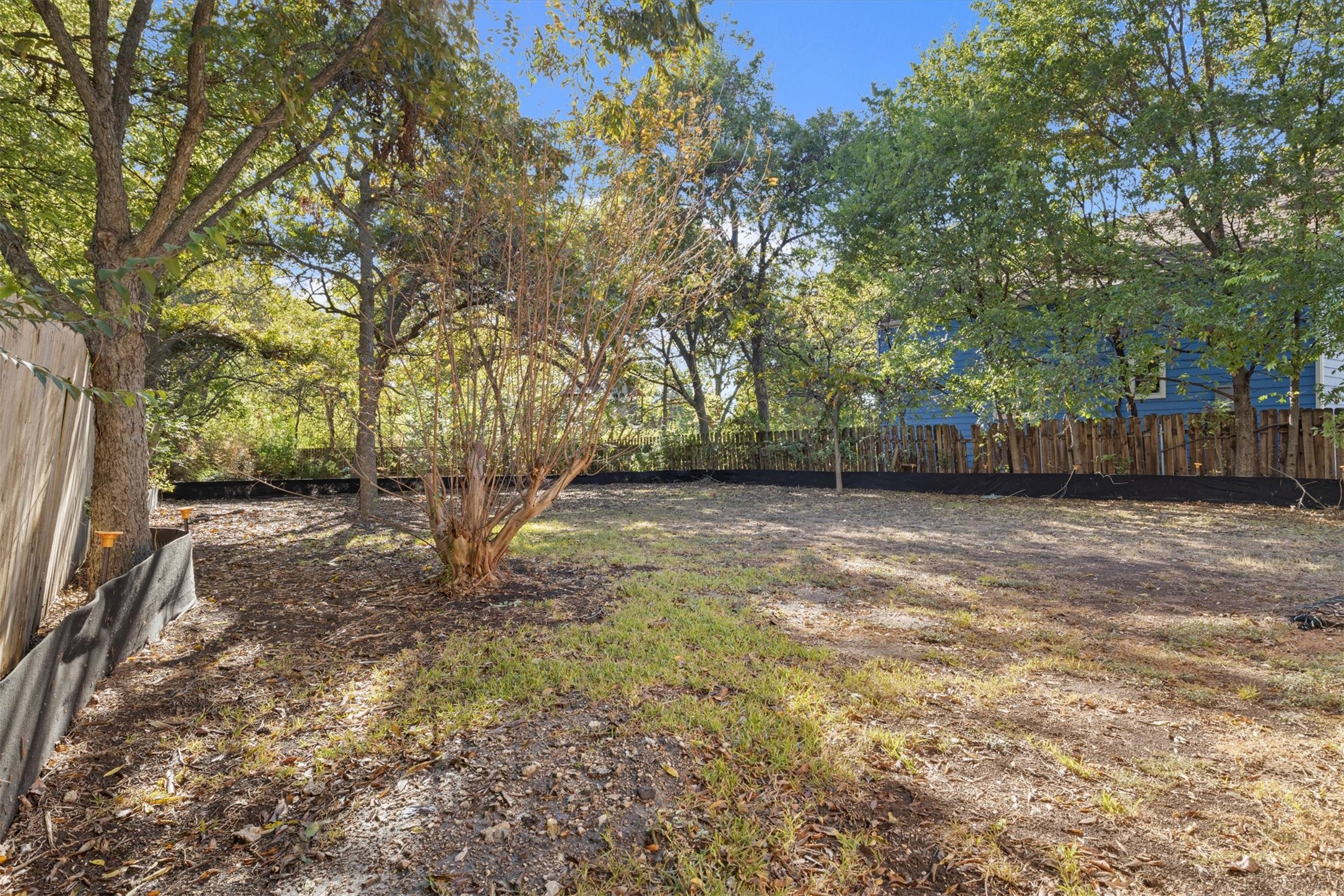 935 East 56th Street, Unit 2 & 3 Austin, TX 78751 - Photo 5 of 22
