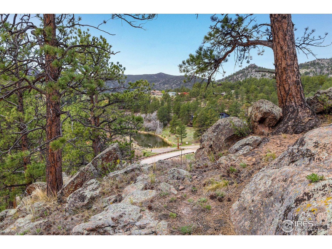 1289 Kiowa Road Lyons, CO 80540 - Photo 17 of 37 a view of outdoor space and tree