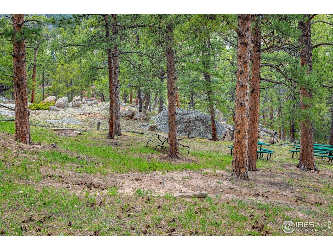 1289 Kiowa Road Lyons, CO 80540 - Photo 32 of 37 a backyard of a house with lots of green space