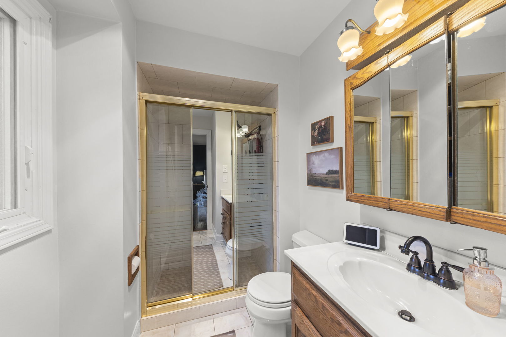 407 Ridgeview Street Downers Grove, IL 60516 - Photo 20 of 33 Gallery Image 20
