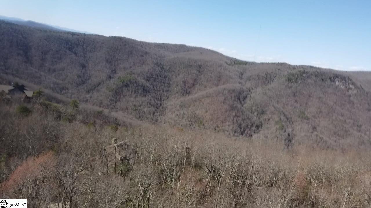 127 Conifer Falls Road Cleveland, SC 29635 - Photo 11 of 33