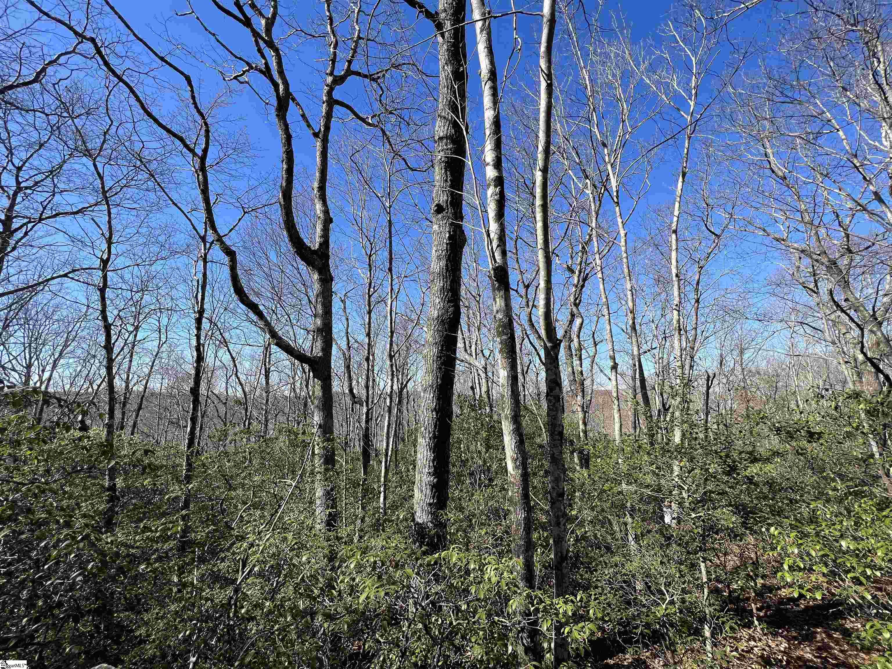 127 Conifer Falls Road Cleveland, SC 29635 - Photo 13 of 33