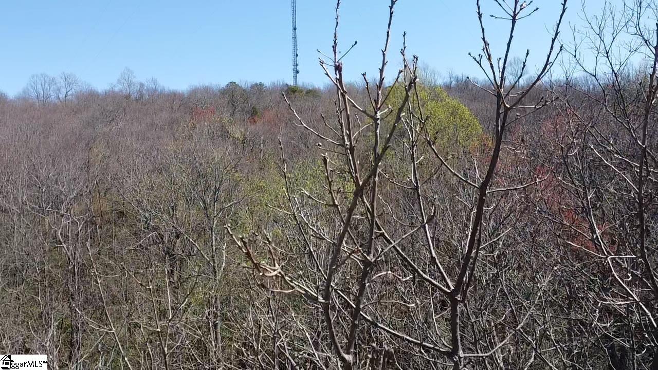 127 Conifer Falls Road Cleveland, SC 29635 - Photo 19 of 33