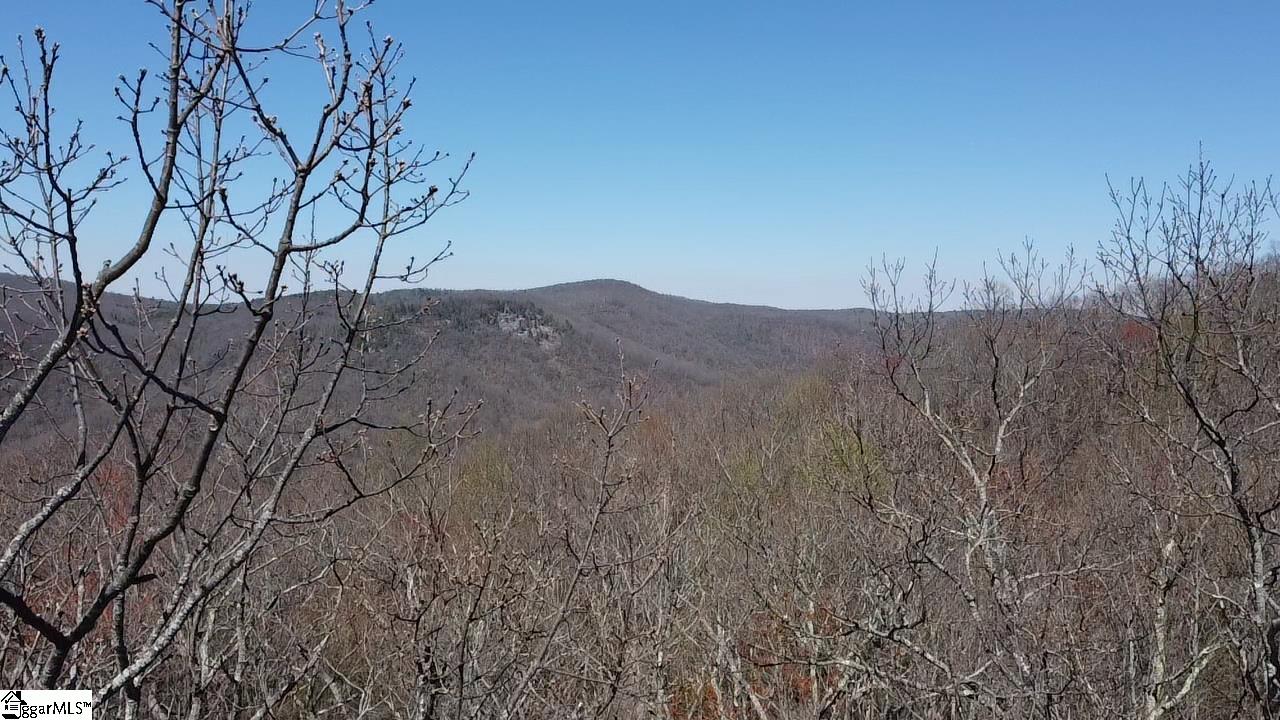 127 Conifer Falls Road Cleveland, SC 29635 - Photo 20 of 33