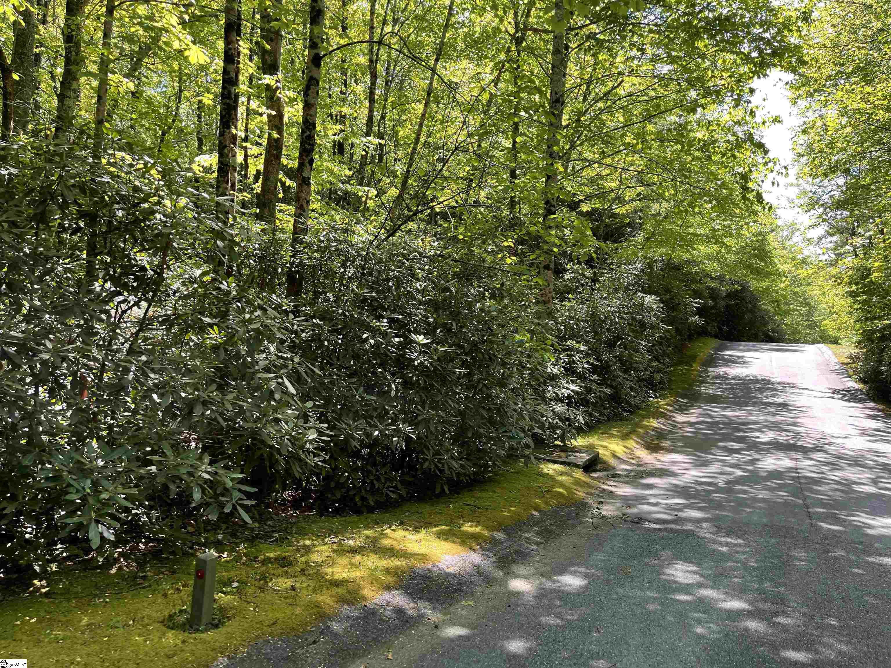 127 Conifer Falls Road Cleveland, SC 29635 - Photo 2 of 33