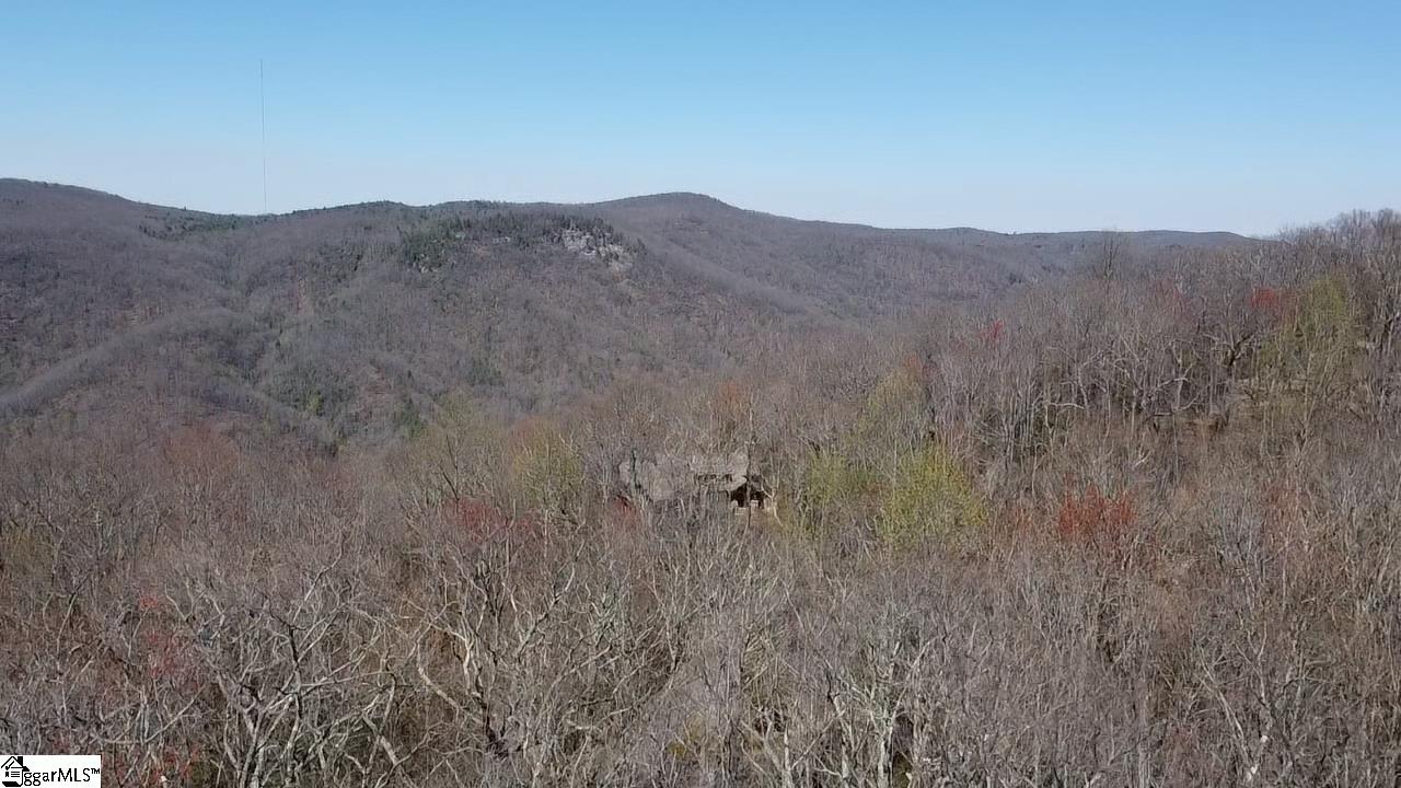 127 Conifer Falls Road Cleveland, SC 29635 - Photo 21 of 33