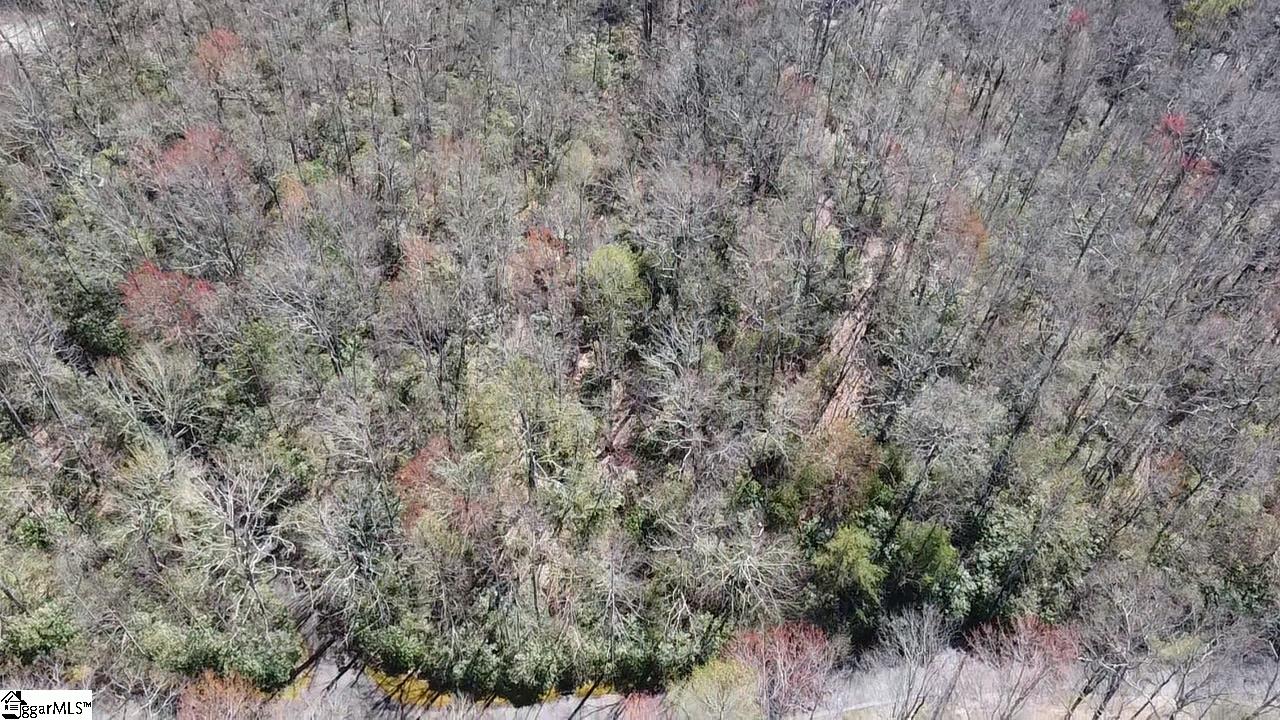 127 Conifer Falls Road Cleveland, SC 29635 - Photo 22 of 33