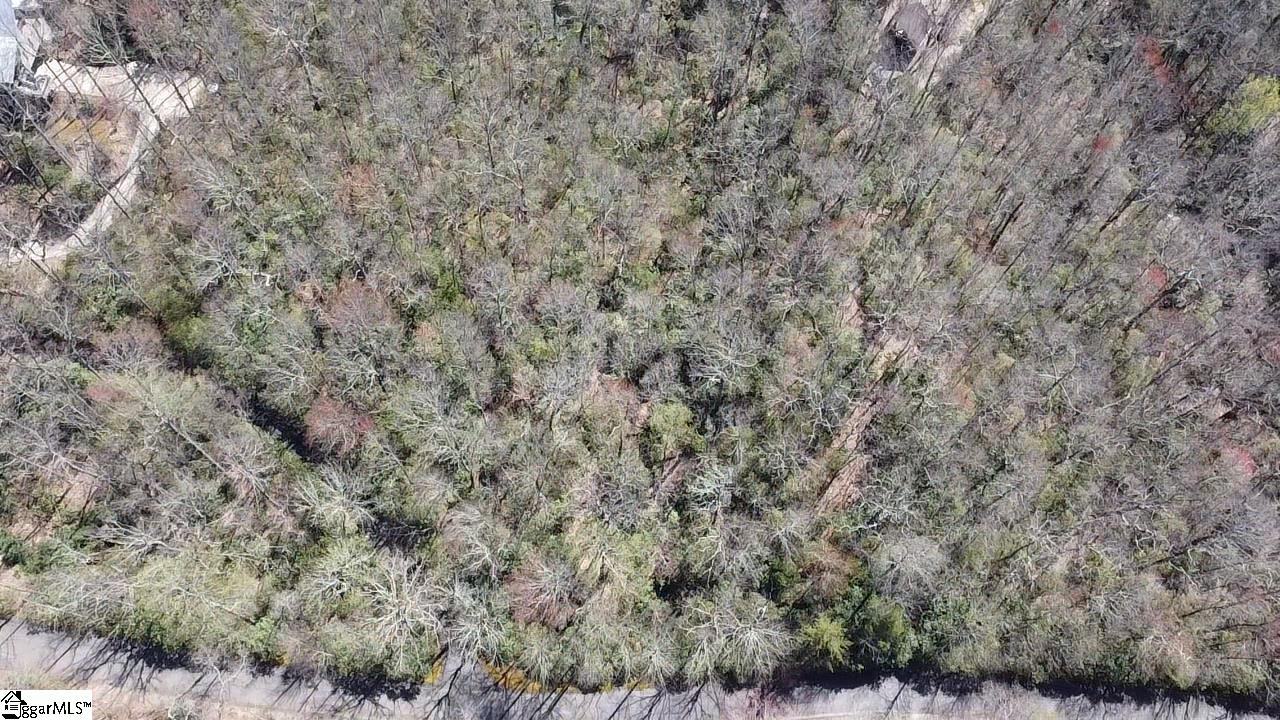 127 Conifer Falls Road Cleveland, SC 29635 - Photo 26 of 33